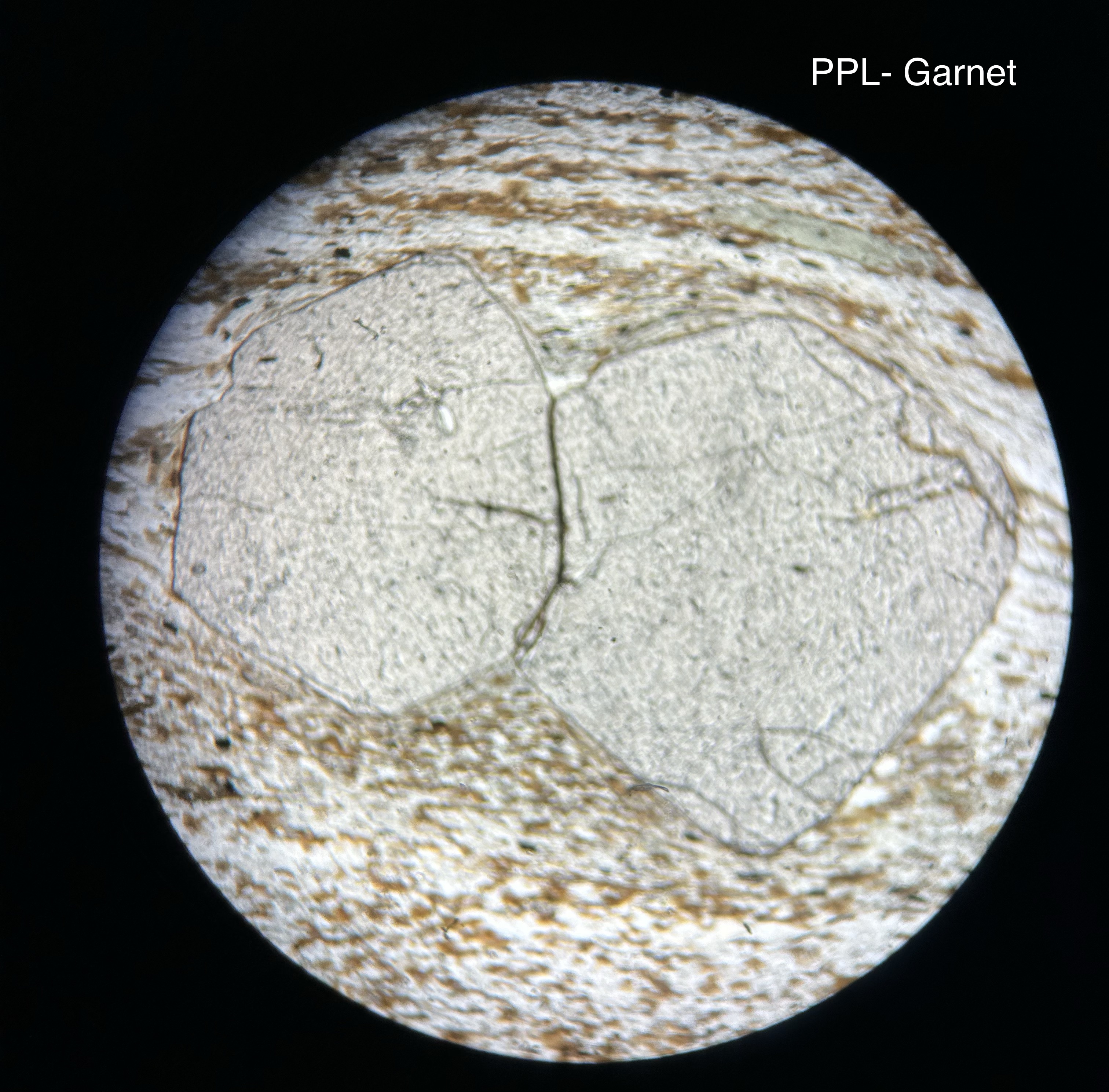 <p>Garnet under the microscope</p>