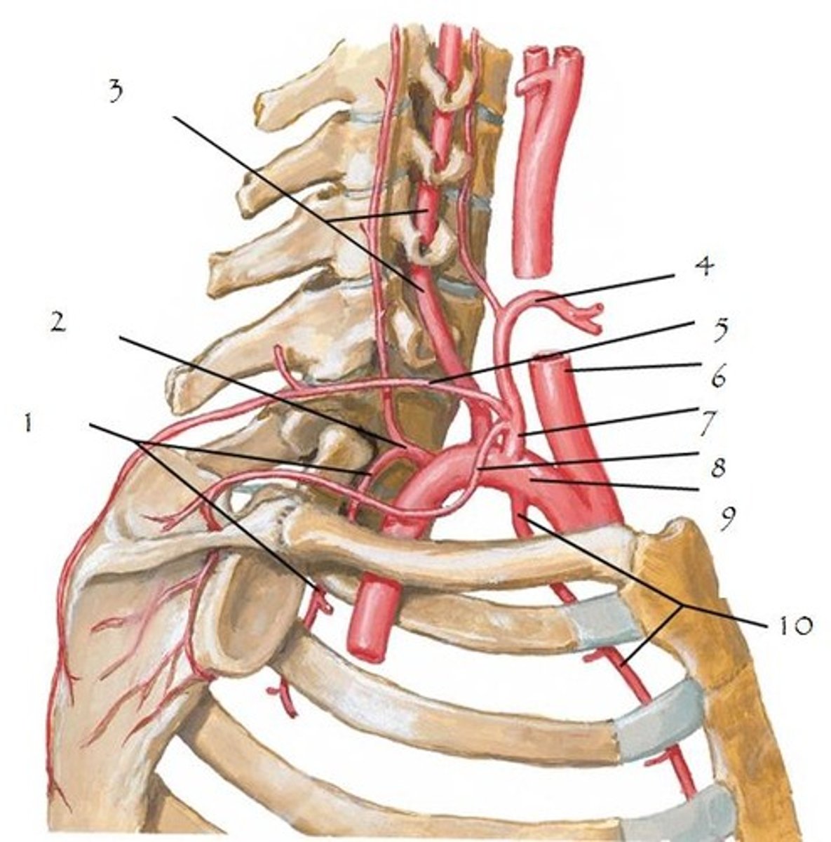 <p>1. (CHANGE PIC)</p>