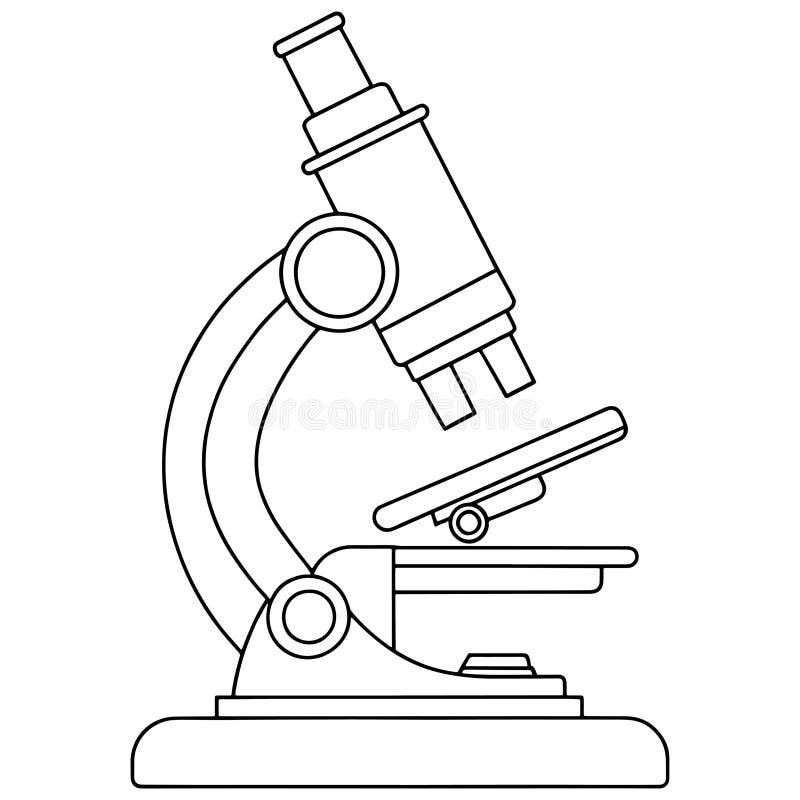 <p>What parts are on a microscope?</p>