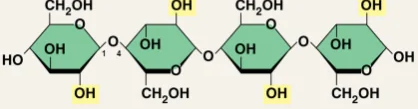 <p>Chemical bonds between hexose sugars where the OH- groups are at 4' and 1'</p>