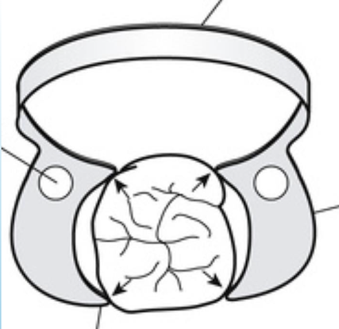 <p>Name with lines</p>