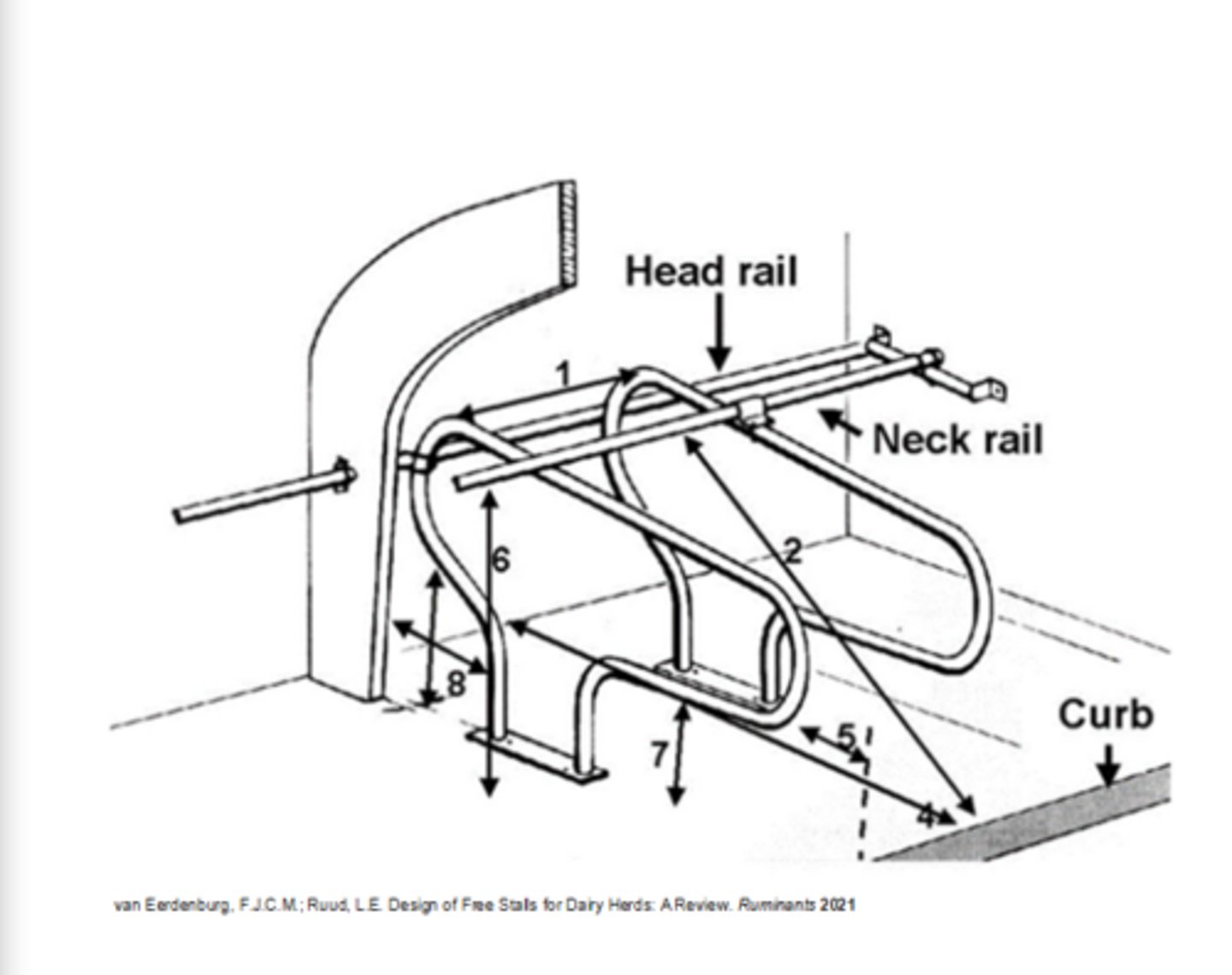 <p>What is the free stall size requirement for a traditional 1500 lb Holstein?</p><p>Talk about 1. width, 2. neck rail to curb, and 3. height of neck rail</p>