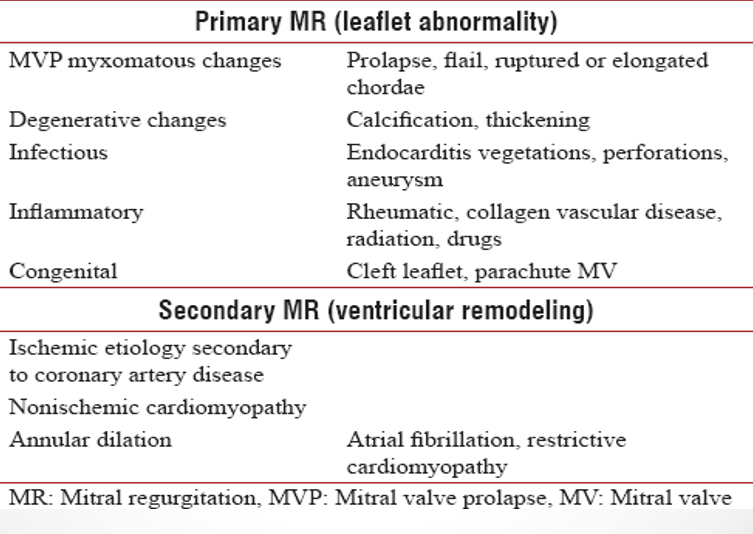 <p>myxomatous mitral valve disease (MVP)</p><ul><li><p>degeneration of connective tissue</p></li></ul><p>rheumatic disease</p><p>MAC</p><p>endocarditis&nbsp;</p>
