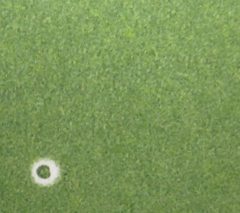 <p>dust, dirt on blanket prevents ink from printing creating halos</p>