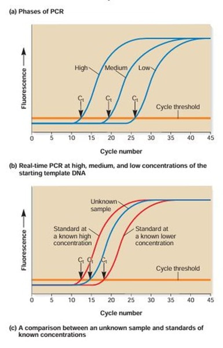 <p>A method to quantify gene or mRNA concentration based on fluorescence measurement.</p>