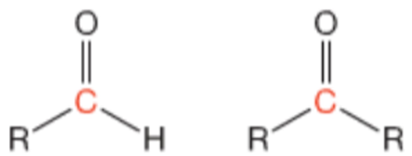 <p>aldehyde and ketone</p>