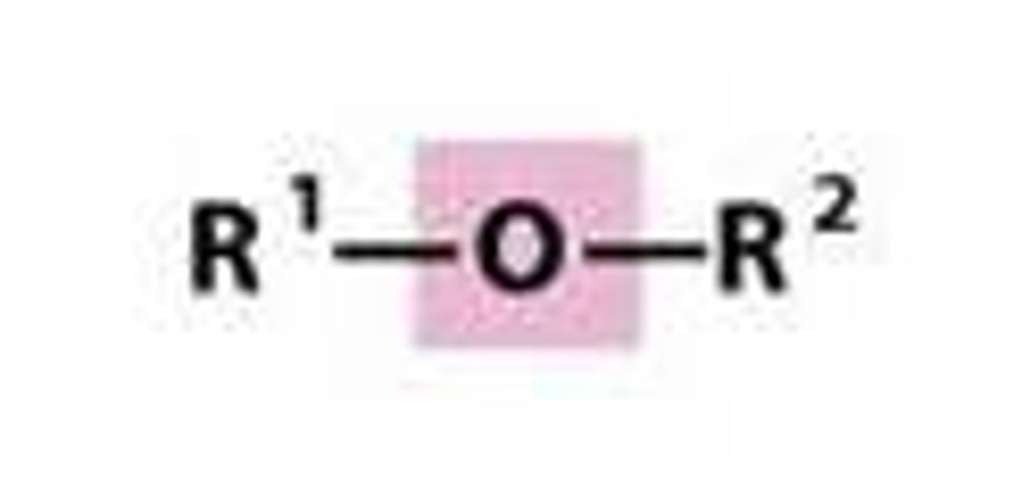 <p>-an oxygen that links two R groups together</p>