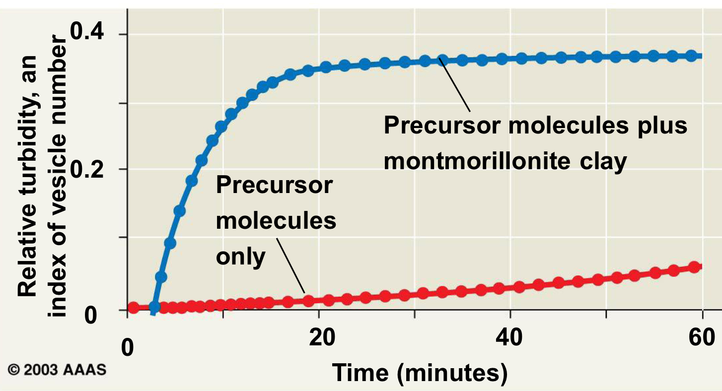 <p>Montmorillonite is a clay mineral from volcanic ash that can catalyze the formation of RNA and other organic molecules, providing a surface for the assembly of protocells. </p>