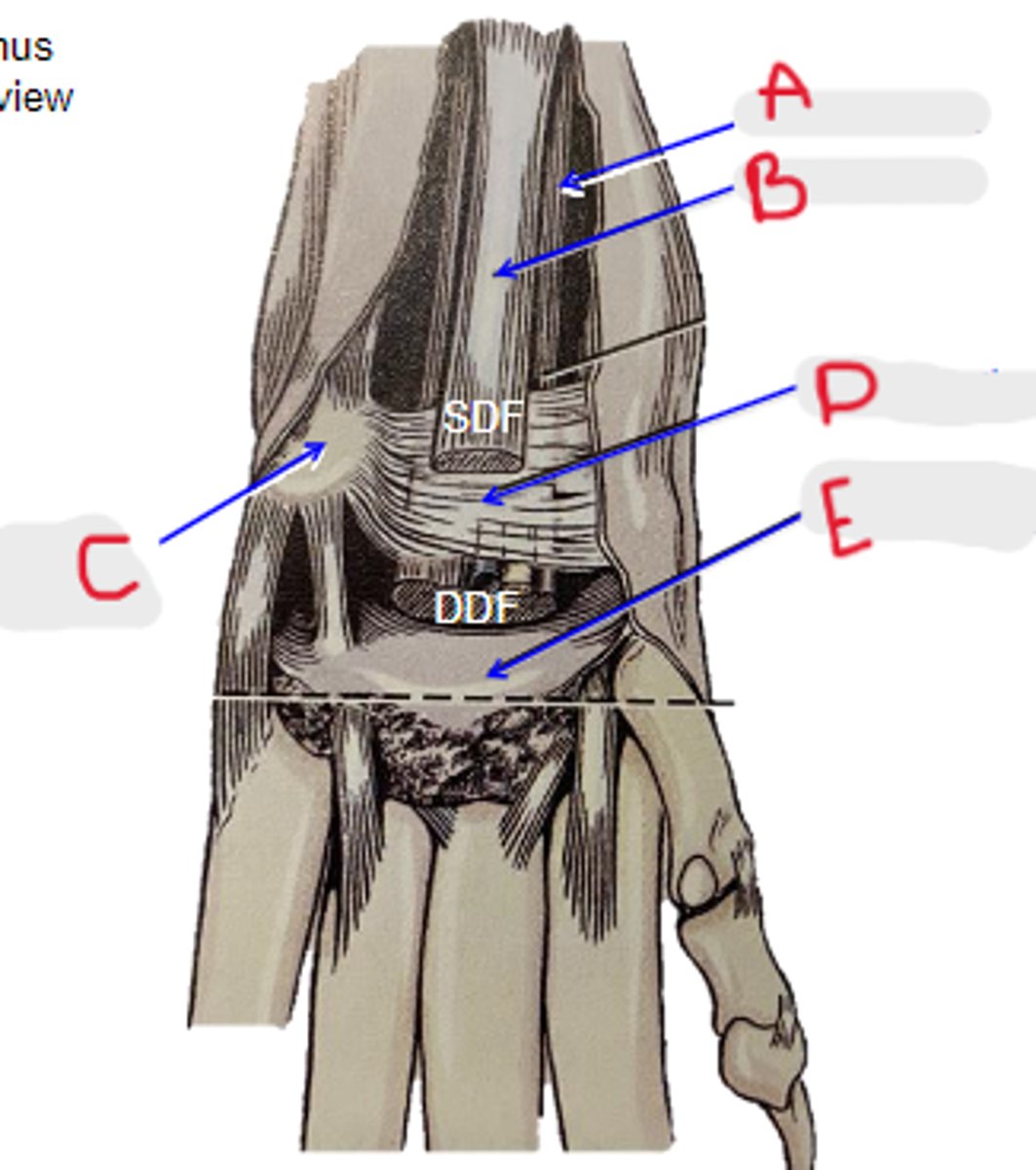 <p>What is E?</p>