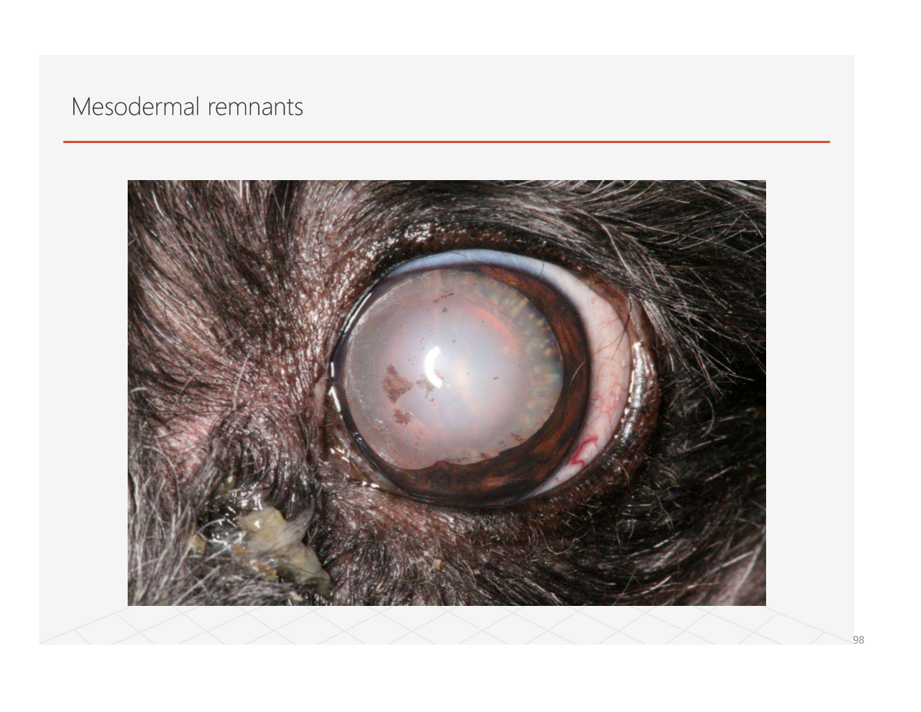 <img src="https://knowt-user-attachments.s3.amazonaws.com/eec587e3-8f0d-4baf-876f-c6c5398d1621.png" data-width="100%" data-align="center"><p></p>