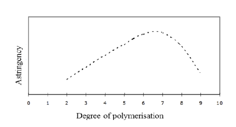 <p><span style="background-color: inherit; line-height: 23px;"><strong><span>Effect of DP on protein binding</span></strong></span><span style="line-height: 23px;"><span>&nbsp;</span></span></p><ul><li><p class="Paragraph SCXO207843421 BCX0" style="text-align: left;"><span style="background-color: inherit; line-height: 16.1px; color: windowtext;"><strong><span>Low DP (monomers, dimers)</span></strong></span><span style="line-height: 16.1px; color: windowtext;"><span>&nbsp;</span></span></p></li><li><p class="Paragraph SCXO207843421 BCX0" style="text-align: left;"><span style="background-color: inherit; line-height: 16.1px; color: windowtext;"><span>Weak protein binding</span></span><span style="line-height: 16.1px; color: windowtext;"><span>&nbsp;</span></span></p></li><li><p class="Paragraph SCXO207843421 BCX0" style="text-align: left;"><span style="background-color: inherit; line-height: 16.1px; color: windowtext;"><span>Low astringency</span></span><span style="line-height: 16.1px; color: windowtext;"><span>&nbsp;</span></span></p></li><li><p class="Paragraph SCXO207843421 BCX0" style="text-align: left;"><span style="background-color: inherit; line-height: 16.1px; color: windowtext;"><strong><span>Medium DP (oligomers, DP ≈ 5–7)</span></strong></span><span style="line-height: 16.1px; color: windowtext;"><span>&nbsp;</span></span></p></li><li><p class="Paragraph SCXO207843421 BCX0" style="text-align: left;"><span style="background-color: inherit; line-height: 16.1px; color: windowtext;"><span>Strong protein binding</span></span><span style="line-height: 16.1px; color: windowtext;"><span>&nbsp;</span></span></p></li><li><p class="Paragraph SCXO207843421 BCX0" style="text-align: left;"><span style="background-color: inherit; line-height: 16.1px; color: windowtext;"><span>Efficient </span><strong><span>cross-linking of proteins</span></strong></span><span style="line-height: 16.1px; color: windowtext;"><span>&nbsp;</span></span></p></li><li><p class="Paragraph SCXO207843421 BCX0" style="text-align: left;"><span style="background-color: inherit; line-height: 16.1px; color: windowtext;"><strong><span>Maximum astringency</span></strong></span><span style="line-height: 16.1px; color: windowtext;"><span>&nbsp;</span></span></p></li><li><p class="Paragraph SCXO207843421 BCX0" style="text-align: left;"><span style="background-color: inherit; line-height: 16.1px; color: windowtext;"><strong><span>High DP (large polymers)</span></strong></span><span style="line-height: 16.1px; color: windowtext;"><span>&nbsp;</span></span></p></li><li><p class="Paragraph SCXO207843421 BCX0" style="text-align: left;"><span style="background-color: inherit; line-height: 16.1px; color: windowtext;"><span>Reduced solubility or flexibility</span></span><span style="line-height: 16.1px; color: windowtext;"><span>&nbsp;</span></span></p></li><li><p class="Paragraph SCXO207843421 BCX0" style="text-align: left;"><span style="background-color: inherit; line-height: 16.1px; color: windowtext;"><span>Less effective interaction with proteins</span></span><span style="line-height: 16.1px; color: windowtext;"><span>&nbsp;</span></span></p></li><li><p class="Paragraph SCXO207843421 BCX0" style="text-align: left;"><span style="background-color: inherit; line-height: 16.1px; color: windowtext;"><span>Decreased astringency</span></span><span style="line-height: 16.1px; color: windowtext;"><span>&nbsp;</span></span></p></li><li><p class="Paragraph SCXO207843421 BCX0" style="text-align: left;"></p></li></ul><p></p>