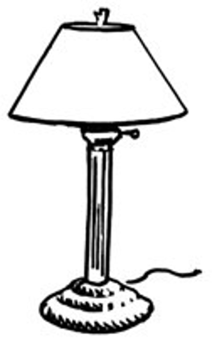 <p>una cosa que da luz (lamp)</p>