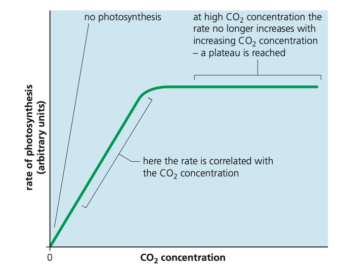 <p> en la tasa de fotosíntesis. A medida que aumenta la concentración de CO2, la fotosíntesis generalmente aumenta hasta un punto de saturación. </p>