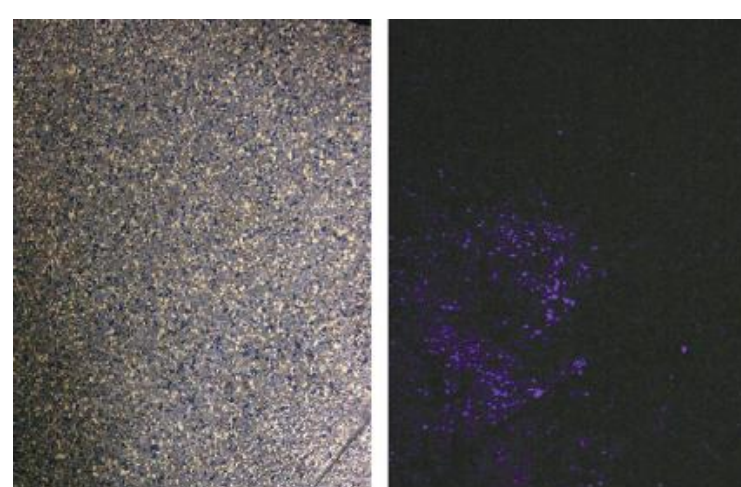 Detecting latent bloodstains on a floor with luminol. Left: with the light on; right: immediately after the light is switched off.