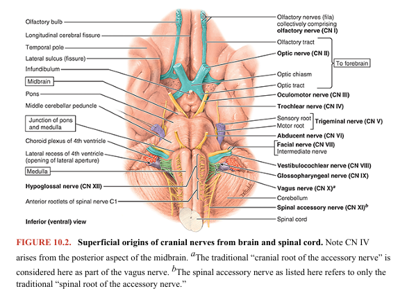 knowt flashcard image