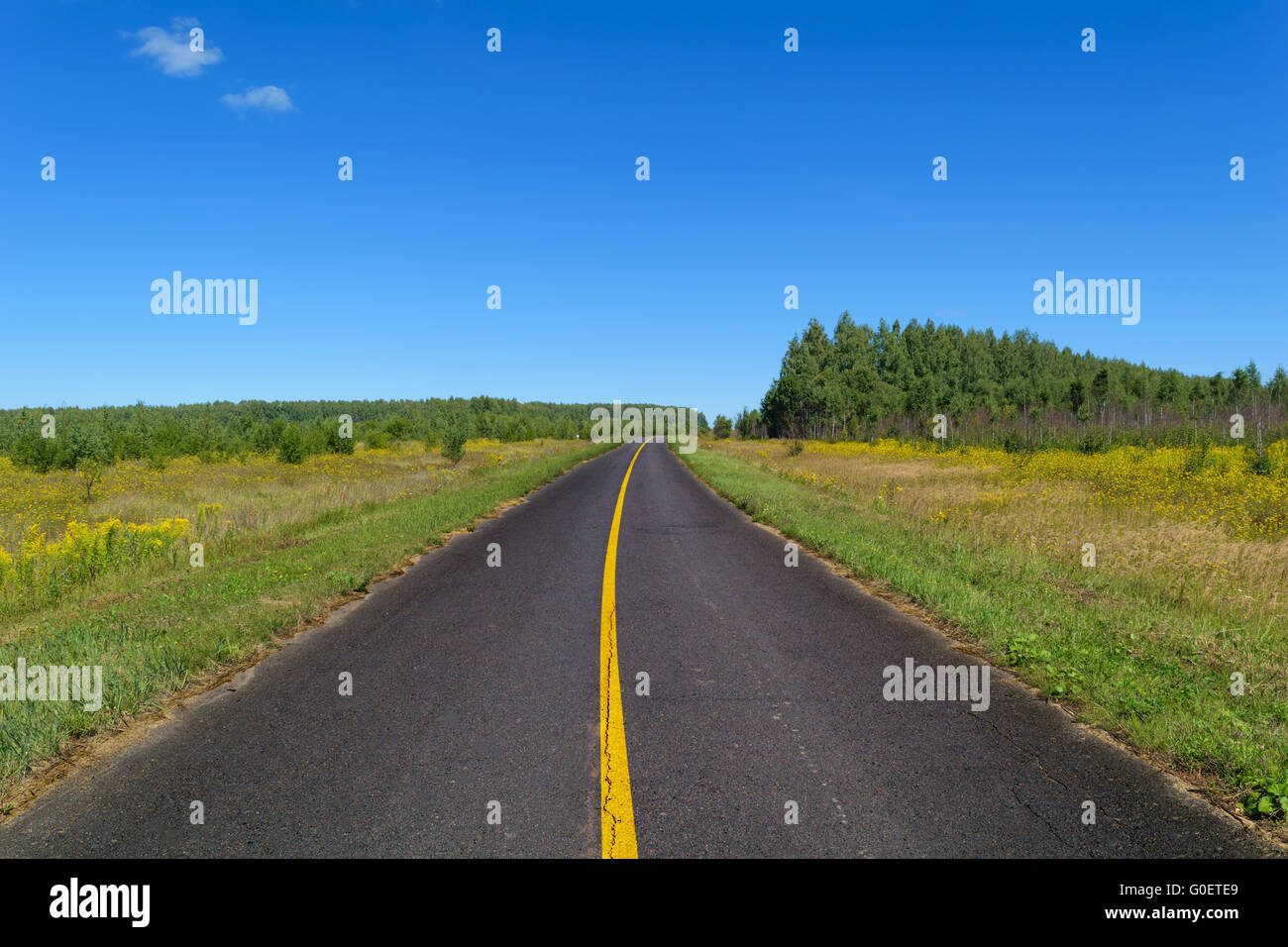 Solid Yellow Lines

