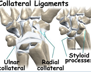 <p>Ulnar Ligamentous Stress Test</p>