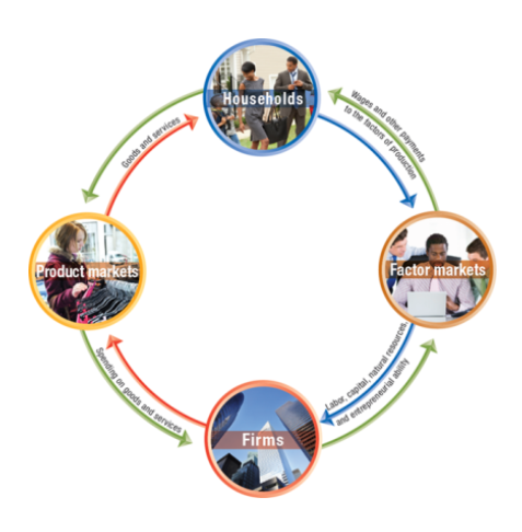 <p>model that illustrates how participants in markets are linked</p><ul><li><p>households provide factors of production to firms</p></li><li><p>firms provide goods and services to households</p></li><li><p>firms pay money to households for the factors of production</p></li><li><p>households pay money to firms for the goods and services</p></li></ul><p></p>