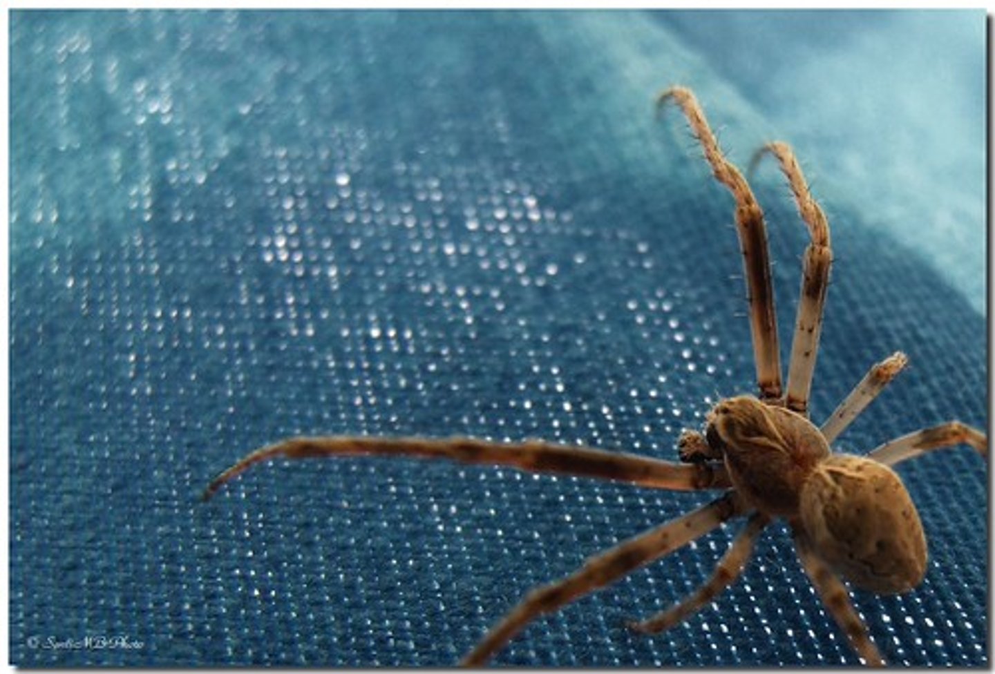 <p>A severe and persistent fear of a specific object or situation.</p>