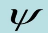 wave function