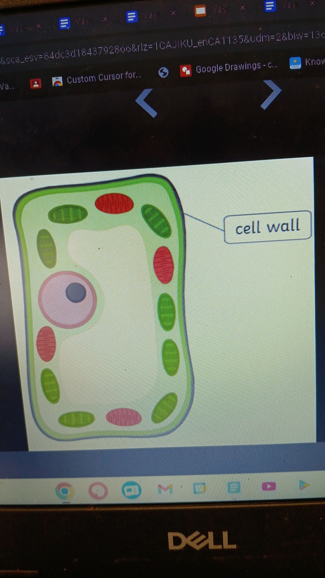 knowt flashcard image