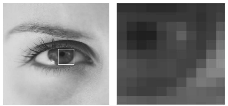 <p>(1) sonographer identifies the ROI</p><p>(2) system reads and displays only the <strong><em>original data</em></strong></p><p>(3) ROI is not rescanned</p>