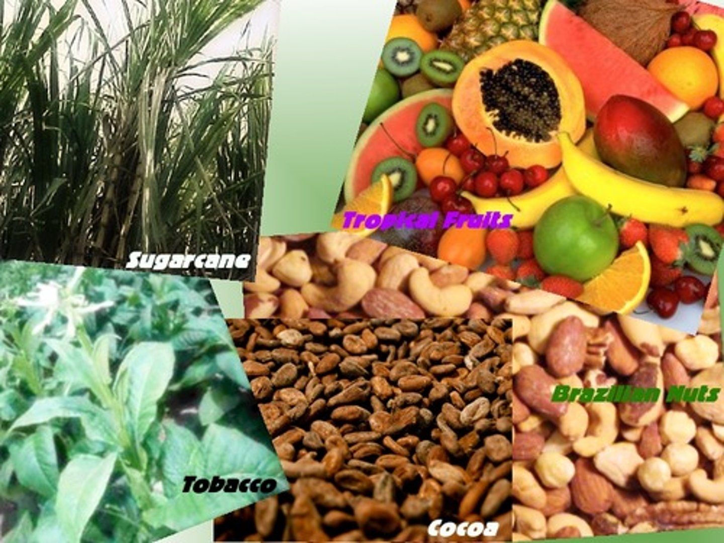<p>... agricultural land use conversion and process-response:<br><br>=&gt; Increasing demand for agro-industrial commodities<br><br><br>- arable farming <br>- cattle farming</p>