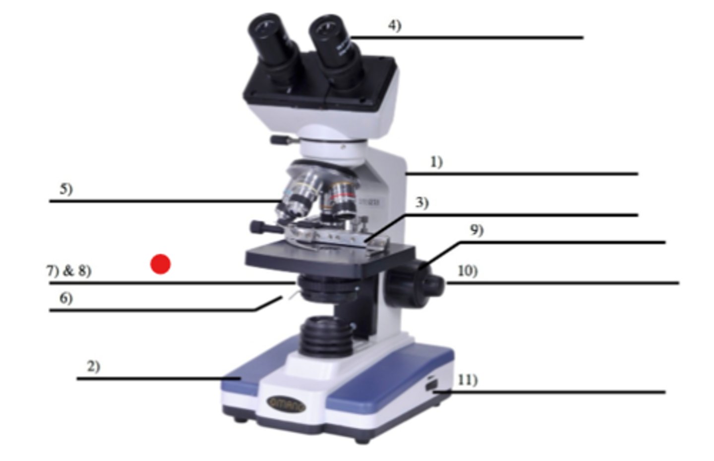<p>8</p><p>- Regulates the amount of light passing through the condenser</p>