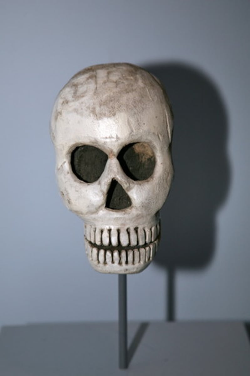 <p>the head</p>