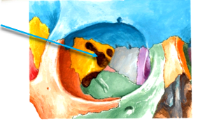 <p>What is this space called?&nbsp;</p>