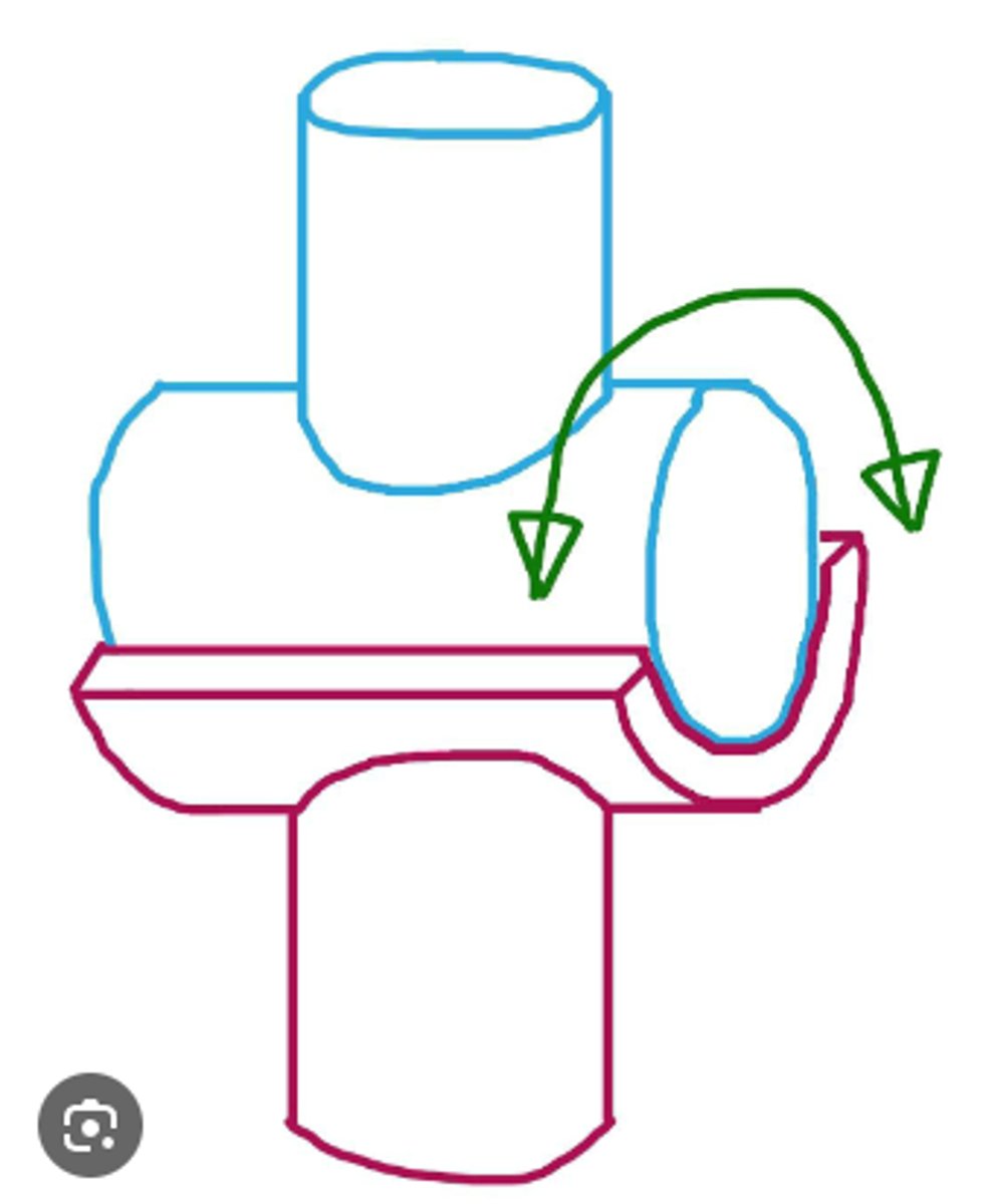 <p>Joint between bones that permits motion in only one plane</p>