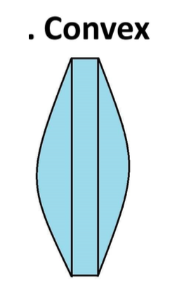 <p><strong>strongly convex in the anteroposterior direction and only slightly convex mediolaterally</strong></p>