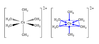 <ul><li><p>(structural formulae) enclose the structure in square brackets with the charge outside the bracket to represent the complex, any counter ions are on the outside, ligands on the inside</p></li><li><p>(chemical formulae) enclose the specific things interacting with the mtal centre (ligands) in square brackets, with the counter ions outside the bracket, along with the charge of the complexI am a hard working and motivated university student, looking for further challenge, namely in giving back to my community.</p></li></ul><p></p>