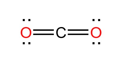 <p>Identify the shape.</p>