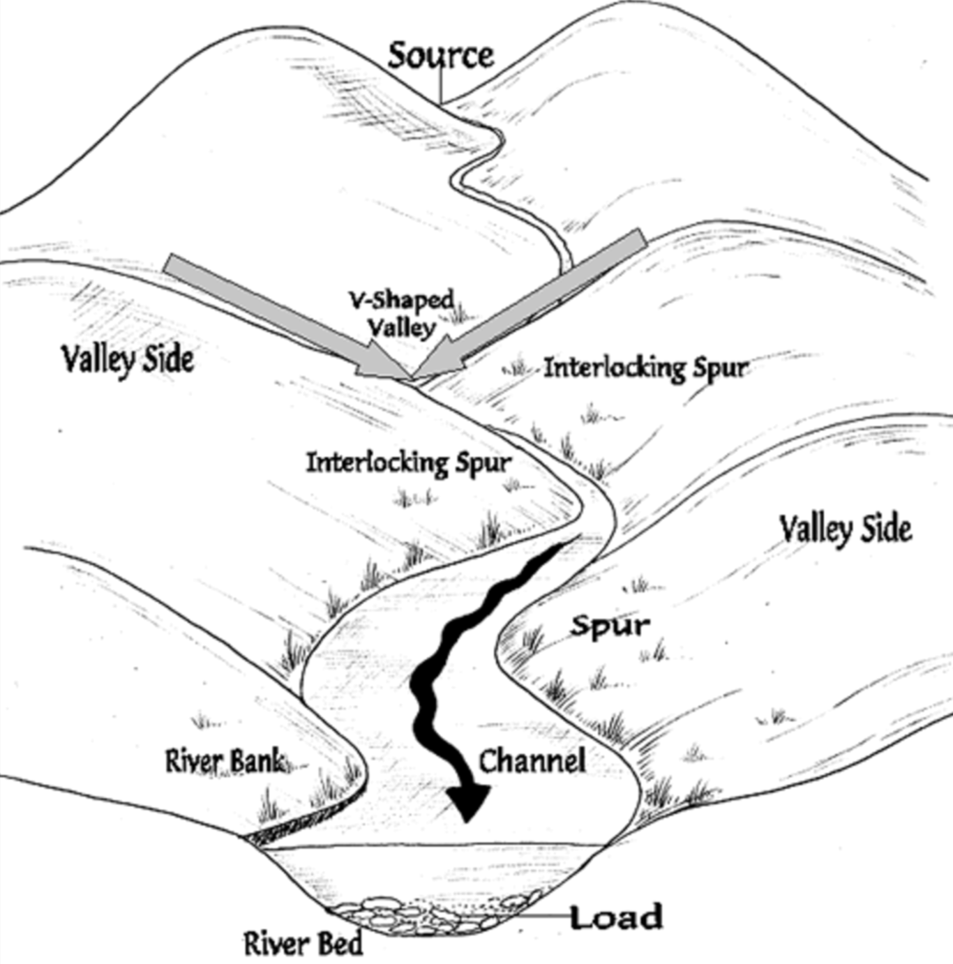 <p>Interlocking spurs</p>