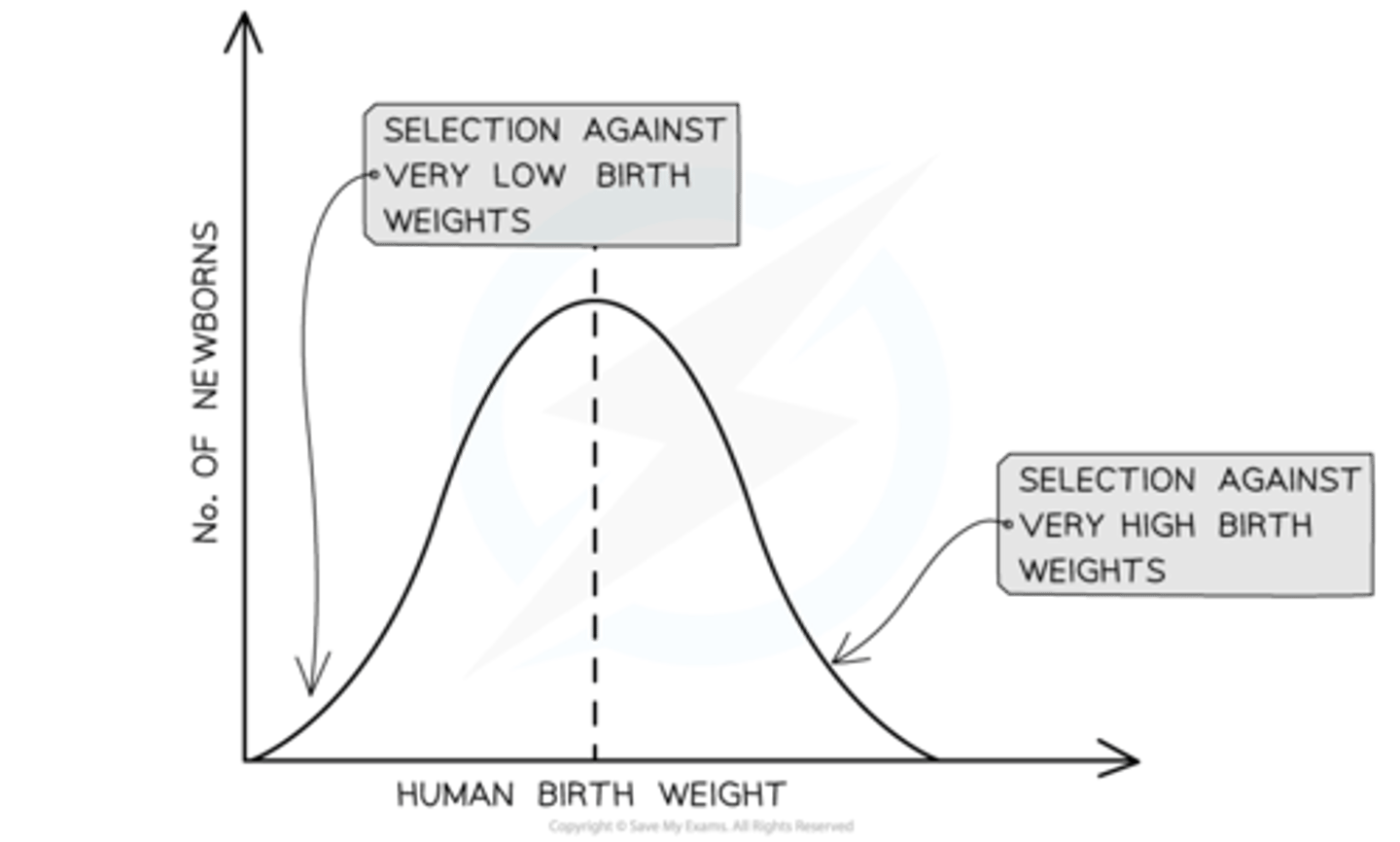 <p>- Individuals with alleles for average or modal values of a trait have a selective advantage.</p><p>- The frequency of alleles for average traits increases, while alleles for extreme traits decrease.</p><p>- The range or standard deviation of the trait becomes smaller.</p>