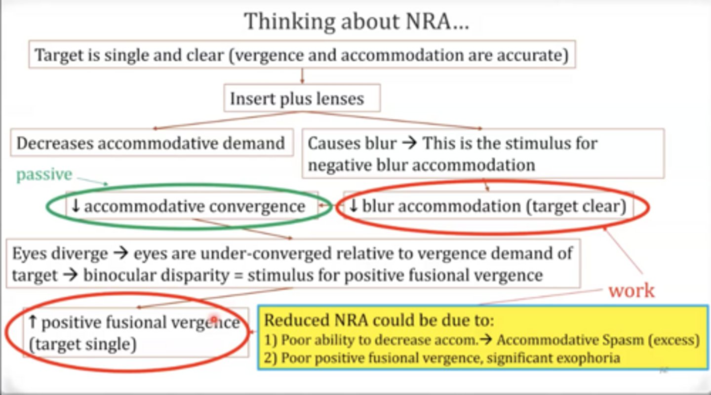 <p>NRA Flowchart</p><p>When eyes are under-converged relative to the vergence demand of the target, what happens?</p>