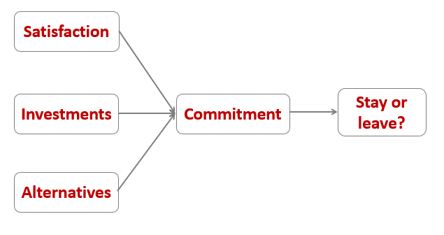 <ul><li><p>satisfaction (happiness in a relationship)</p></li><li><p>alternatives (potential happiness in a different relationship/alone)</p></li><li><p>investment (what have you put into the relationship that you would lose if it were to end)</p></li><li><p>these factors predicts people’s commitment to a relationship and in turn whether they stay or leave </p></li></ul><p></p>