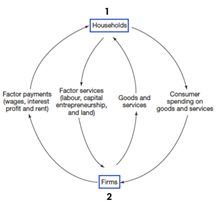 <p>Displays that in any given time period, the value of the output produced in an economy is equal to the total income generated in producing that output, which is equal to the expenditures made to purchase that output</p><ul><li><p>then just explain each flowy thing</p></li></ul>