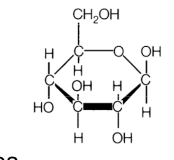 * glucose-based polymer, linear, w thousand units
* covalent bonds in polymer chain
* hydrogen bonding bw chains
* 65-90% crystallinity