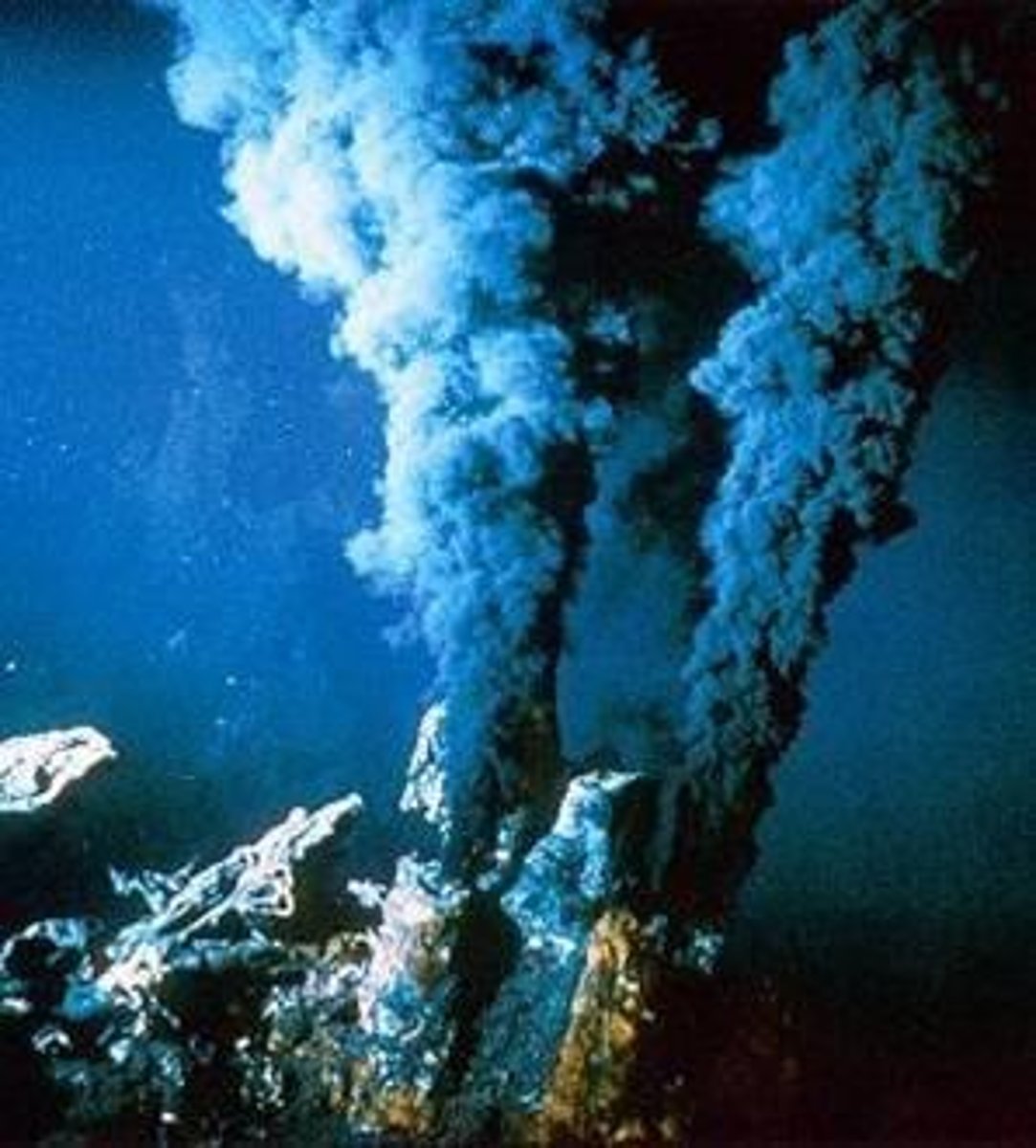 <p>very hot vents underwater, flourishing with life</p><p>- where tetonic plates meet</p><p>- warm due to energy from mantle/core coming up</p>