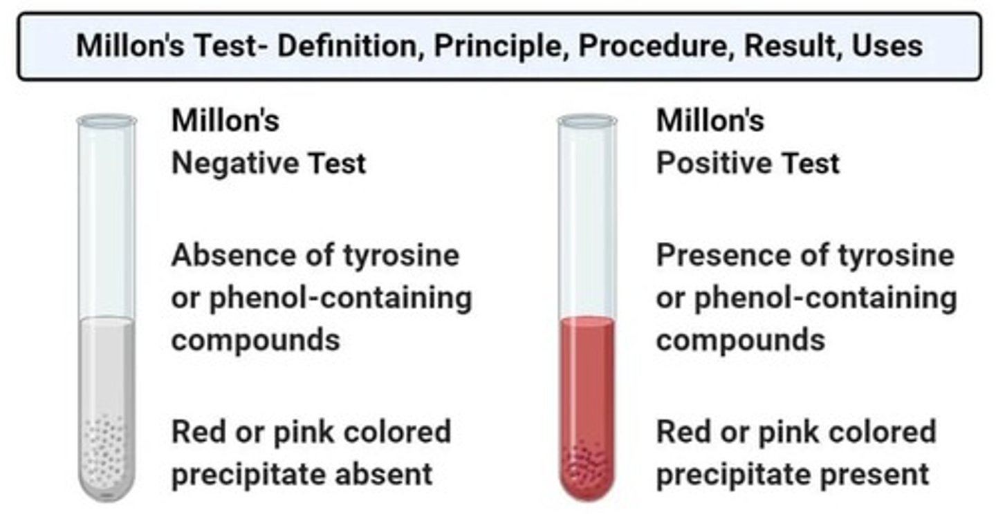 <p>Test for the detection of tyrosine-containing proteins in a given sample.</p>