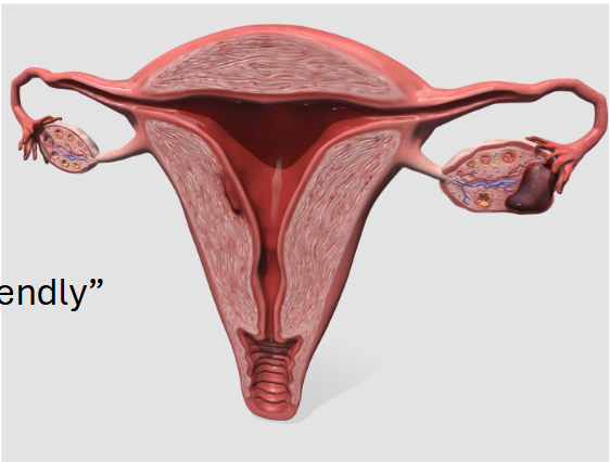 <p><span style="color: rgb(0, 0, 0);"><span>• Before Ovulation: Estrogen Dominant</span></span><span style="color: rgb(0, 0, 0);"><br>  </span><span style="color: rgb(0, 0, 0);"><span>• Estrogen causes:</span></span><span style="color: rgb(0, 0, 0);"><br>     </span><span style="color: rgb(0, 0, 0);"><span>1. Cervical mucus thin/watery</span></span><span style="color: rgb(0, 0, 0);"><br>     </span><span style="color: rgb(0, 0, 0);"><span>2. Cervix to slightly open</span></span><span style="color: rgb(0, 0, 0);"><br>     </span><span style="color: rgb(0, 0, 0);"><span>3. Uterine Contractions</span></span><span style="color: rgb(0, 0, 0);"><br>  </span><span style="color: rgb(0, 0, 0);"><span>• Uterine/Cervical Environment is “Sperm-Friendly”</span></span><span style="color: rgb(0, 0, 0);"><br></span><span style="color: rgb(0, 0, 0);"><span>• After Ovulation: Progesterone Dominant</span></span><span style="color: rgb(0, 0, 0);"><br>  </span><span style="color: rgb(0, 0, 0);"><span>• Progesterone causes:</span></span><span style="color: rgb(0, 0, 0);"><br>     </span><span style="color: rgb(0, 0, 0);"><span>1. Cervical Mucus thick/sticky/impenetrable</span></span><span style="color: rgb(0, 0, 0);"><br>     </span><span style="color: rgb(0, 0, 0);"><span>• Protection for fertilized egg from infection</span></span><span style="color: rgb(0, 0, 0);"><br></span><span style="color: rgb(0, 0, 0);"><span>• Uterine/Cervical Environment is “Embryo-Friendly”</span></span></p>