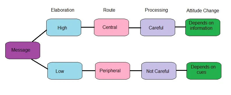 <p>Central vs Peripheral Route</p>