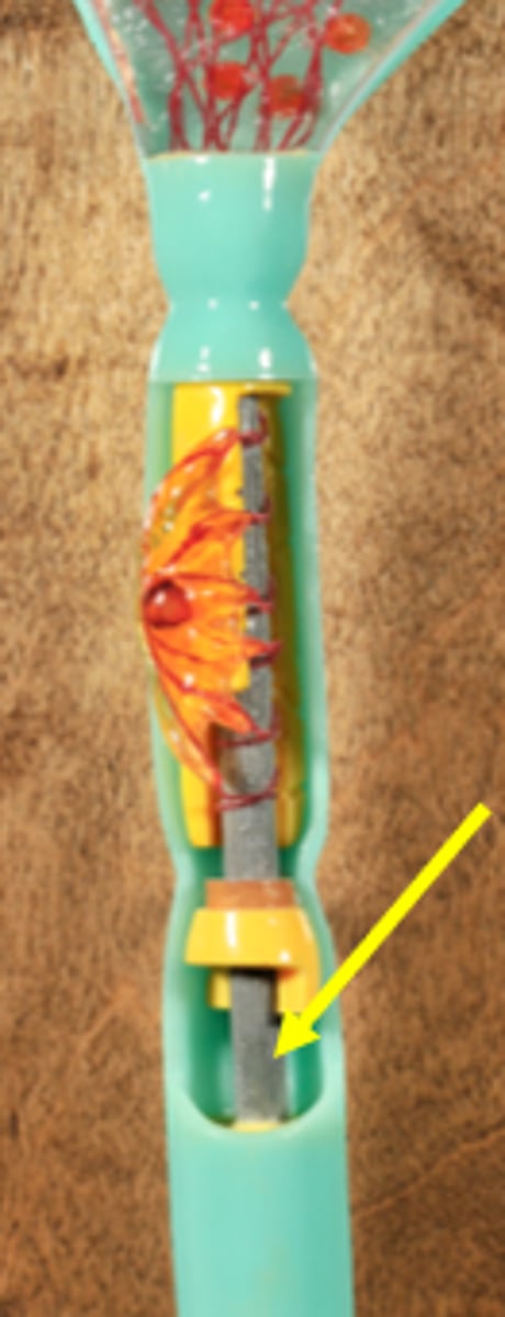 knowt flashcard image