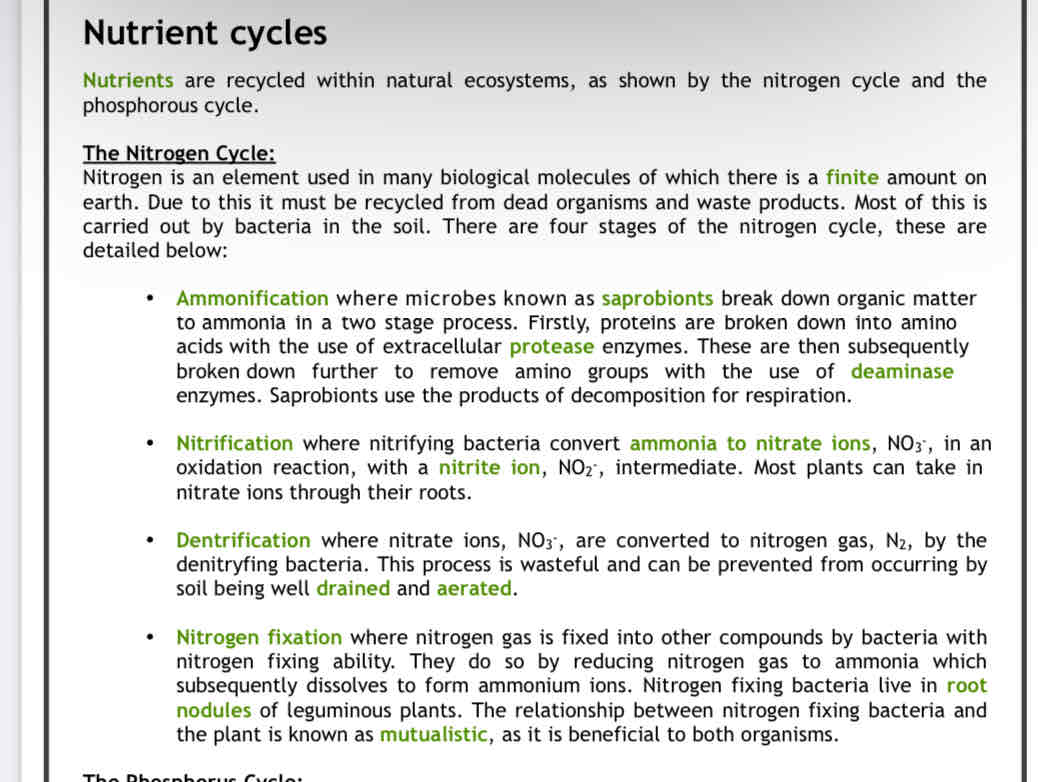 knowt flashcard image