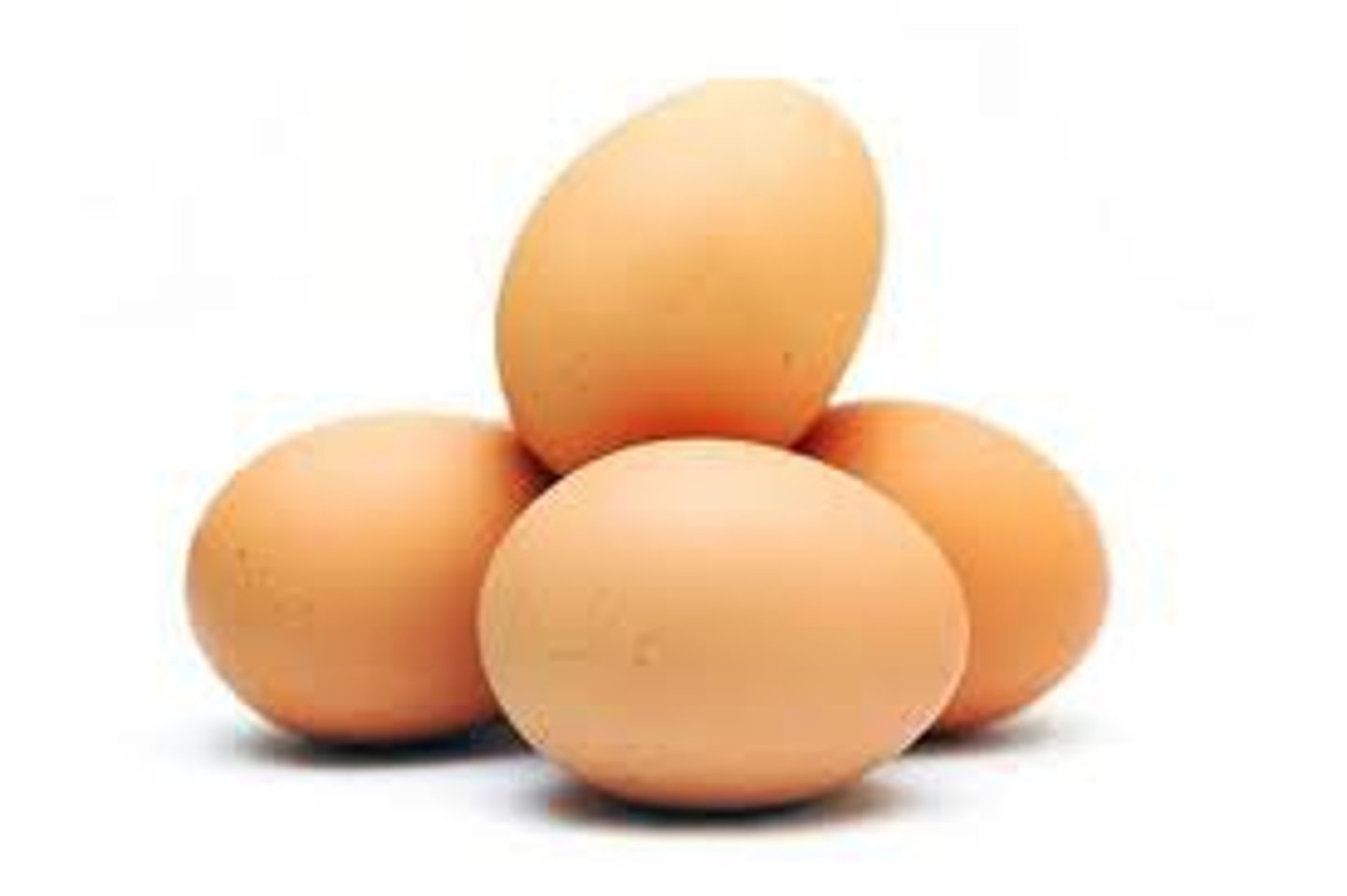 <p>eggs</p>