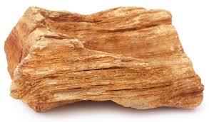 <p>How do sedimentary rocks form?</p>