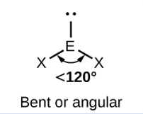 <p><span><span>1 lone pair (1)</span></span></p>
