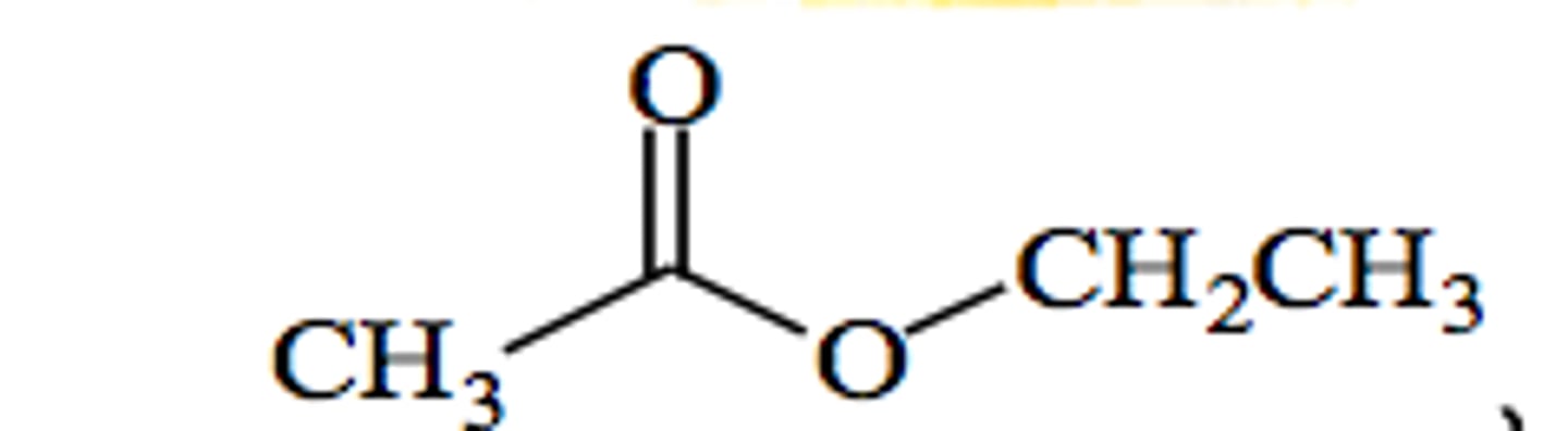 <p>25</p>